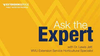 Ask the Expert, episode 1 (with Dr. Lewis Jett)