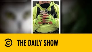 Tiny Owl Found Hiding Away in Rockefeller Christmas Tree | The Daily Show