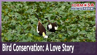 Behind one woman’s quest to build a bird paradise, a love story
