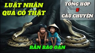 TỔNG HỢP 5 CÂU CHUYỆN CÓ THẬT VỀ LUẬT NHÂN QUẢ - RẮN BÁO OÁN.