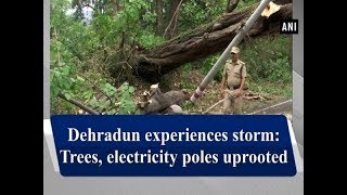 Dehradun experiences storm: Trees, electricity poles uprooted - Uttarakhand News