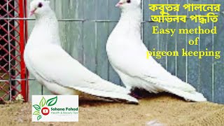 কবুতর পালনের সহজ ও অভিনব পদ্ধতি।। Easy pigeon keeping method.