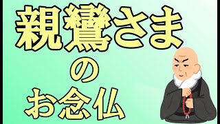 【約20分でわかる⁉️】親鸞さま の 『お念仏』（十七願・六字釈）