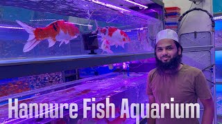 Hannure Pets Fish Aquarium, Kurla East, Mumbai | Big Size Koi Fish