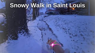 Snowy Day in St. Louis | California Husky's First Walk in the Snow! Winter in Saint Louis, Missouri