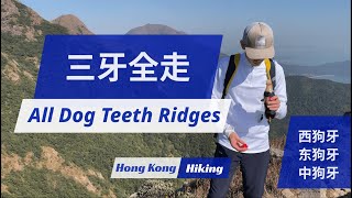 三牙全走 | All Dog Teeth Ridges | 徒步爬山 | 香港大屿山 | 西狗牙 | 东狗牙 | 中狗牙 | West dog's teeth | East dog's teeth