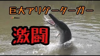 【ド迫力のジャンプ】２ｍ越え巨大アリゲーターガー釣り！/River monster Alligator Gar Fishing