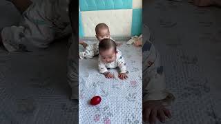 大了就不友好了 #cute #baby #twins #smartbaby #funnybaby  #shortsbaby