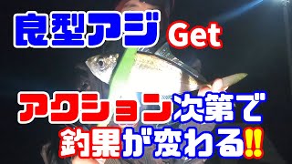 【アジング】良型アジget!!　アクション次第で釣果が変わる!!　3種類の誘い方でどの位釣果が変わる⁉