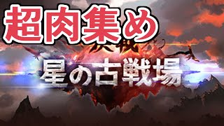 僕たちの肉集めリメイク　とりあえず０時まで周回するべし【グラブル】