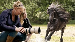 Paarden FOTOGRAFEREN in ACTIE met Martine | How It's Made | Zoom.nl | #11