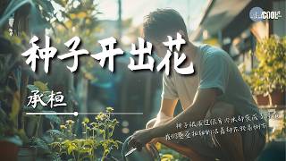 承桓 - 种子开出花「如果你很累就坐下休息一会吧」【🎧AI高质音乐 / 拼音歌词 Pinyin/Eng Lyrics】