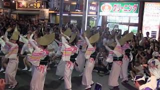 高円寺阿波踊り　東京えびす連