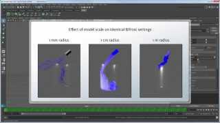 Understanding Bifrost - Simulation Scale