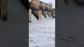 Dam Near Hosur #Kavalapalli Water reservoir #Dam full of Foam