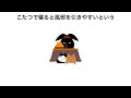 【雑学】誰かに話したくなる冬の雑学