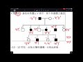 2 3遺傳的染色體學說與性染色體