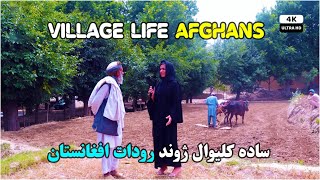 Rural life Afghanistan | Rodat Nangarhar | Afghanistan | د افغانستان ساده کلیوال ژوند رودات ولسوالۍ