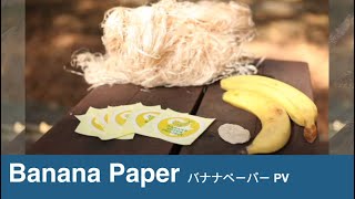 日本初フェアトレード紙 。バナナペーパー PV。ザンビアのバナナ繊維から日本で紙ができるまで！ The Banana Paper journey - our beginning in Zambia.