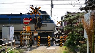 東海道本線【No.189】不動尊踏切・貨物列車 EF66-125 通過・走行映像　静岡県静岡市清水区　JR東海