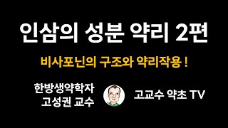 [인삼의 성분 약리 2편] 비사포닌의 구조와 약리작용