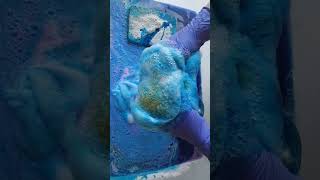 ASMR Frothy Blue Sudsy Grout Squeeze   #sponge #soap #asmrsounds