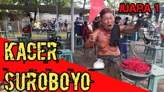 Kacer Mbah Muslim Juara 1 || Mbah Muslim Tambah Nangis || Kacer Suroboyo