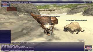 FFXI Shepherd's Armor Set  What you didn't know. Horizon