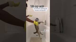 Others cat vs my cat #funnycatsvideo