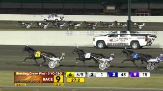 Breeders Crown 3YO Trot Final - Father Patrick - November 22, 2014