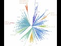 Minimum spanning tree (Prim and Kruskal algorithms)