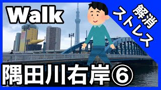 【ストレス解消】隅田川右岸⑥【散歩】 東京　街歩き　ウォーキング SumidaRiver Tokyo japan walking