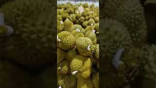 [Vietnam] Durian factory packed for Chinese market【越南】为中国市场打包的榴莲工厂