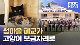 섬마을 폐교가 고양이 보금자리로 (2023.09.06/뉴스데스크/MBC경남)