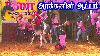 இவன் வேற மாதிரி  கீழையூர் ஜல்லிக்கட்டில் Jallikattu Tv