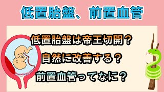 低置胎盤と診断されたら絶対に帝王切開になる？自然に改善はする？前置血管ってなに？