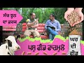 ਸੂਣ ਨੇੜੇ ਪਸ਼ੂਆਂ ਦੀ ਜ਼ਰੂਰੀ ਖੁਰਾਕ ■ milking amimal feed formula in comerical dairy farming