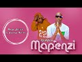 Joshua Erick ft  Dogo Sillah - Niimbie Mapenzi (Official Audio)