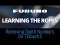 Learning the Ropes - How to Remove Depth Numbers From DFF3D Windows on TZtouch3