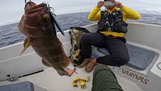 【西表島】沖に行ってジグしてみたら沖縄三大高級魚が釣れた！