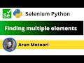 Finding multiple elements on the web page using Selenium Python (Selenium Python)