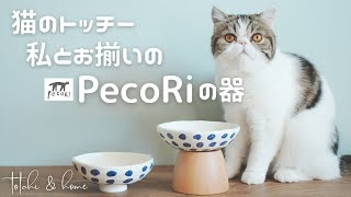 【エキゾチックショートヘア】猫と飼い主がお揃いの器でご飯が食べれる♪PecoRiさんの器を紹介します