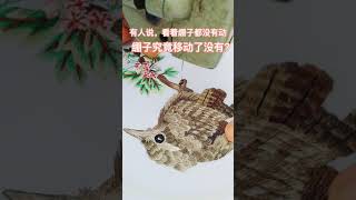 電繡 刺繡小鹪鹩，我的绣花机会跳舞。free motion embroidery