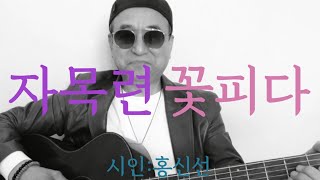 [시노래375★자목련 꽃피다★시인 홍신선]새 시노래를 발표합니다☆끌려나온 취객 몇놈 허공에 붕괴된 정신처럼 나자빠져 있다~무엇에 저리 대취했는가~가끔 우리도 외로움에 취할 때 있지