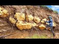 Amazing Mining a lot TREASURES GOLD by K9 DOG - Skills Man & Dog Searching Gold Under Stone