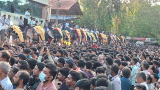 chirakkal fest 2025 ചിറക്കൽ നേർച്ച ഫെസ്റ്റ് കുന്നംകുളം eliphantu march ഗജ സംഗമം