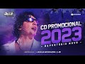 nattan dezembro 2022 mÚsicas novas natanzinho repertÓrio novo atualizado cd novo