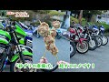 zrxのお祭り！総勢200台超が集まるzrxミーティングに参加してきました！今回もたくさんの方々とお話しさせて頂きました♪ありがとうございました♪