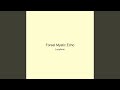 Forest Mystic Echo