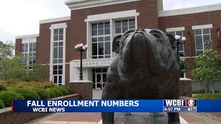 Overall fall enrollment is up at public universities in Mississippi